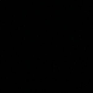 Meet your Posher, Reese